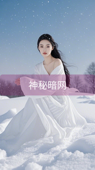 神秘暗网